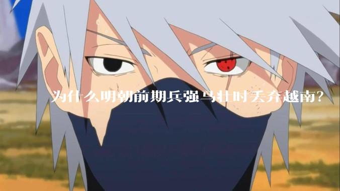 为什么明朝前期兵强马壮时丢弃越南？