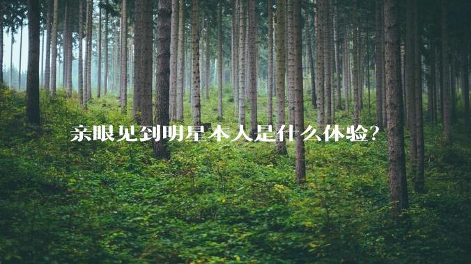 亲眼见到明星本人是什么体验？