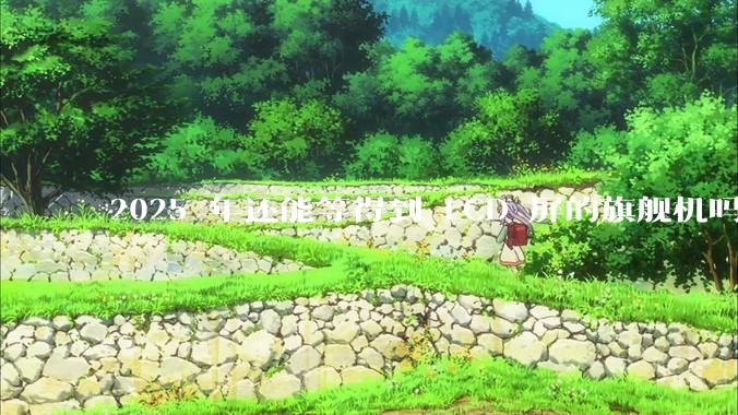 2025 年还能等得到 LCD 屏的旗舰机吗？