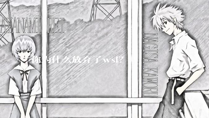 你为什么放弃了wsl？