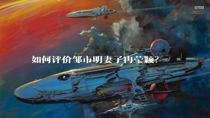 如何评价邹市明妻子冉莹颖？