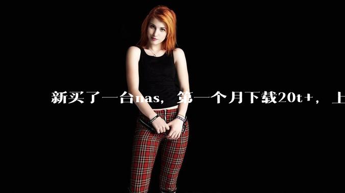 新买了一台nas，第一个月下载20t+，上传5+，不会被网警盯上吧?
