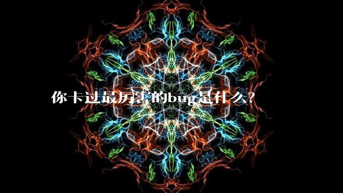 你卡过最厉害的bug是什么？