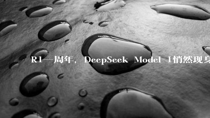 R1一周年，DeepSeek Model 1悄然现身_模型_架构_Sparse