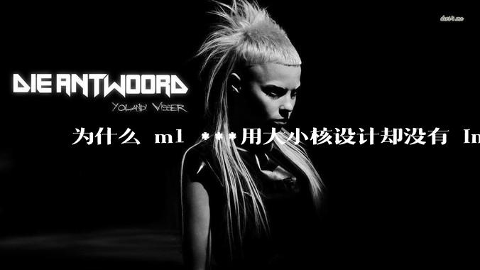 为什么 m1 ***用大小核设计却没有 intel 的问题？