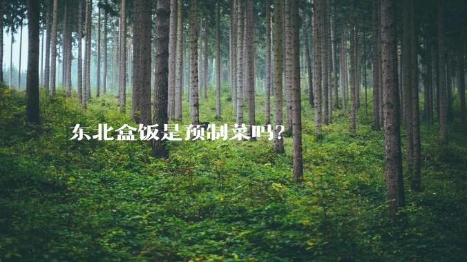 东北盒饭是预制菜吗？