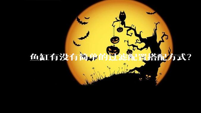 鱼缸有没有简单的过滤配置搭配方式？