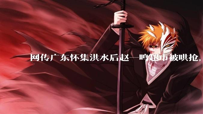 网传广东怀集洪水后赵一鸣超市被哄抢，县***回应相关单位正在核实，若属实哄抢者该承担哪些法律责任？