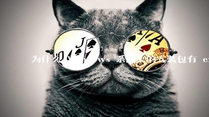 为什么 Windows 系统上的安装包有 exe 和 msi 两种格式，有什么区别？