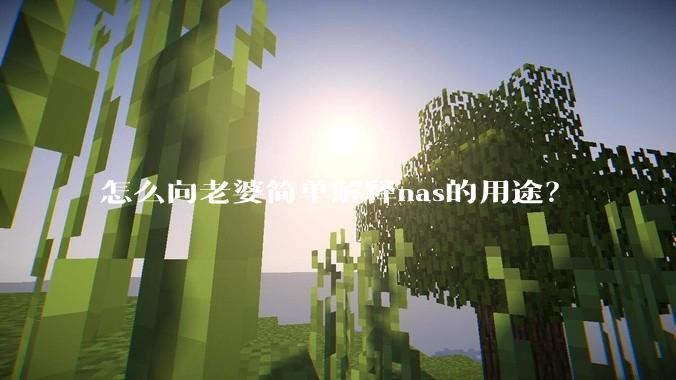 怎么向老婆简单解释nas的用途？