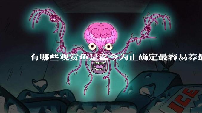 有哪些观赏鱼是迄今为止确定最容易养最不容易死的？