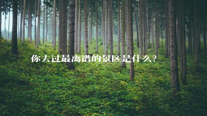 你去过最离谱的景区是什么？