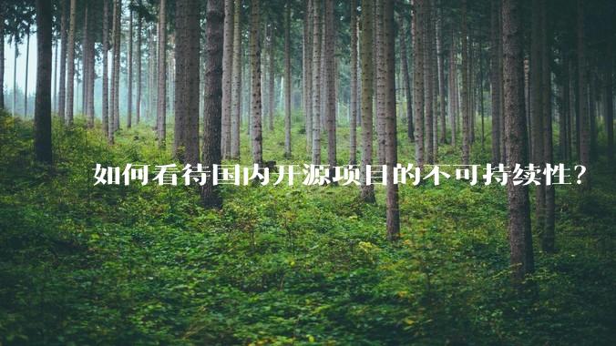 如何看待国内开源项目的不可持续性？