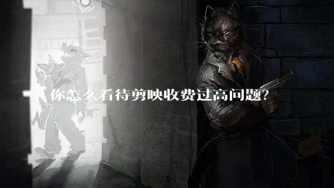你怎么看待剪映收费过高问题？