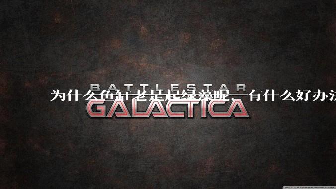 为什么鱼缸老是起绿藻呢，有什么好办法不用整天擦鱼缸？